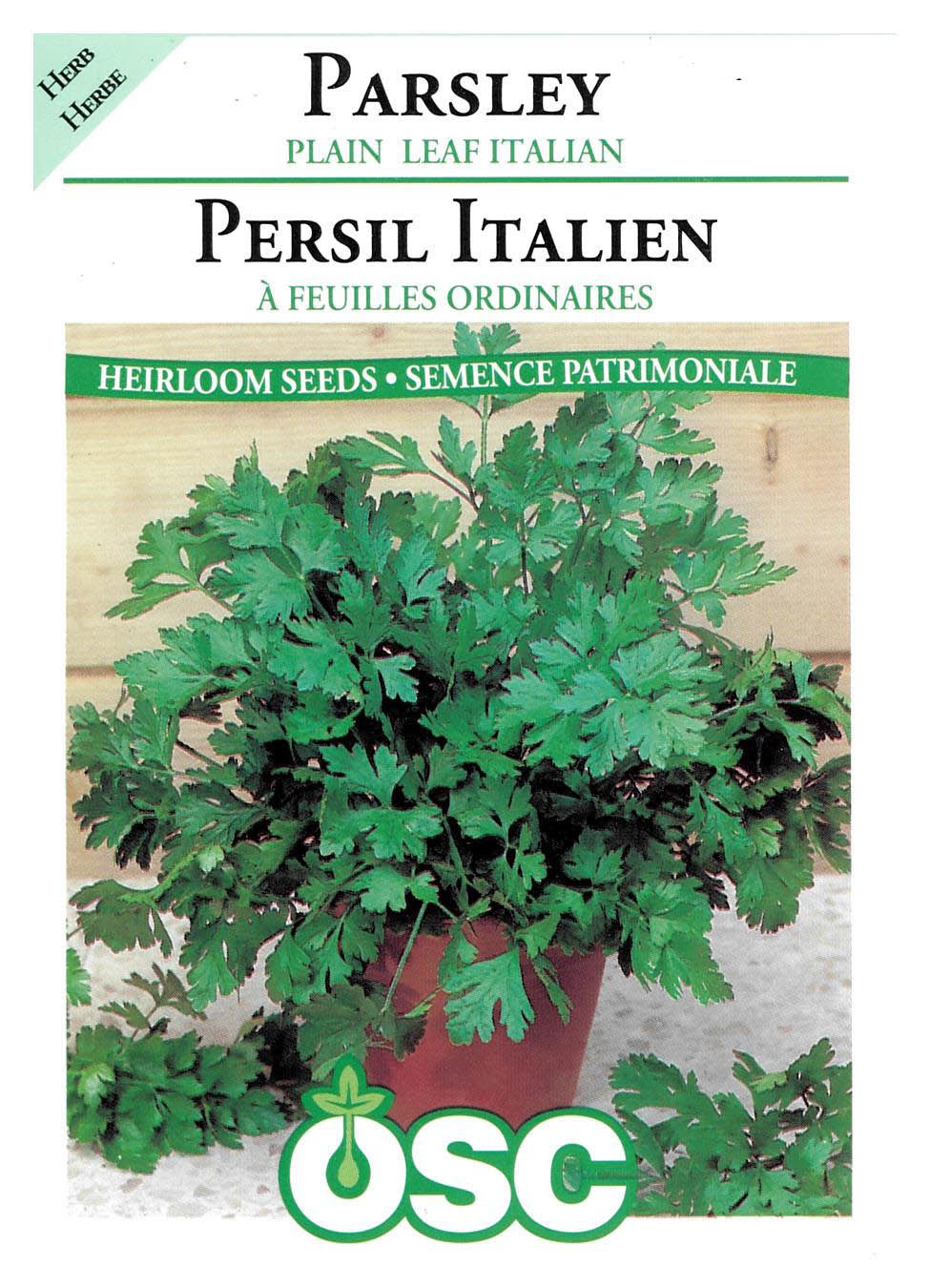 Semences Persil italien à feuilles ordinaires - Jardin des Trouvailles