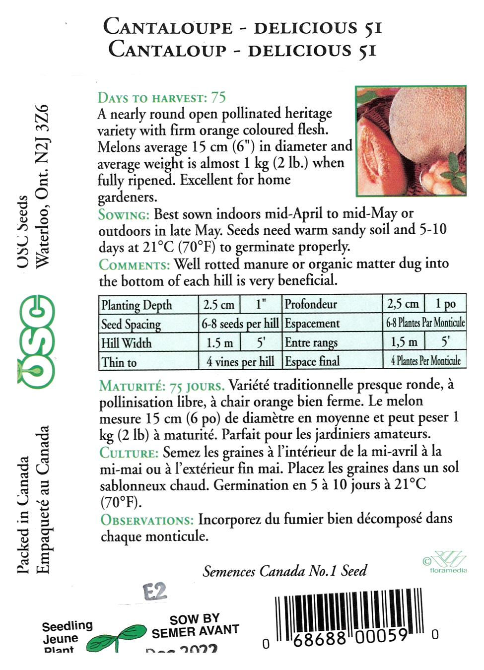 Semences Cantaloup Delicious 51 - Jardin des Trouvailles
