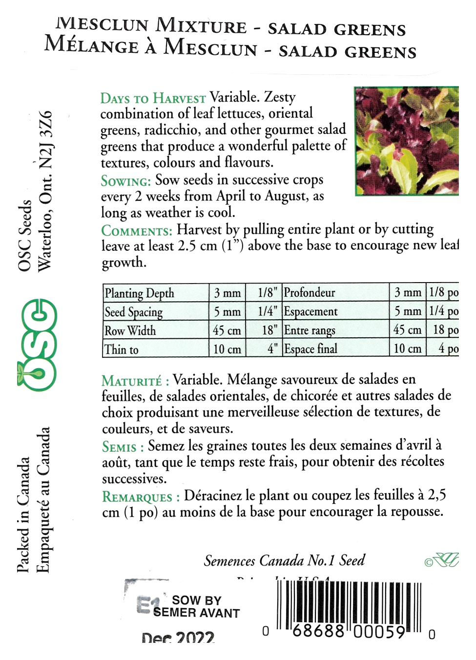 Semences Mélange à mesclun - Jardin des Trouvailles