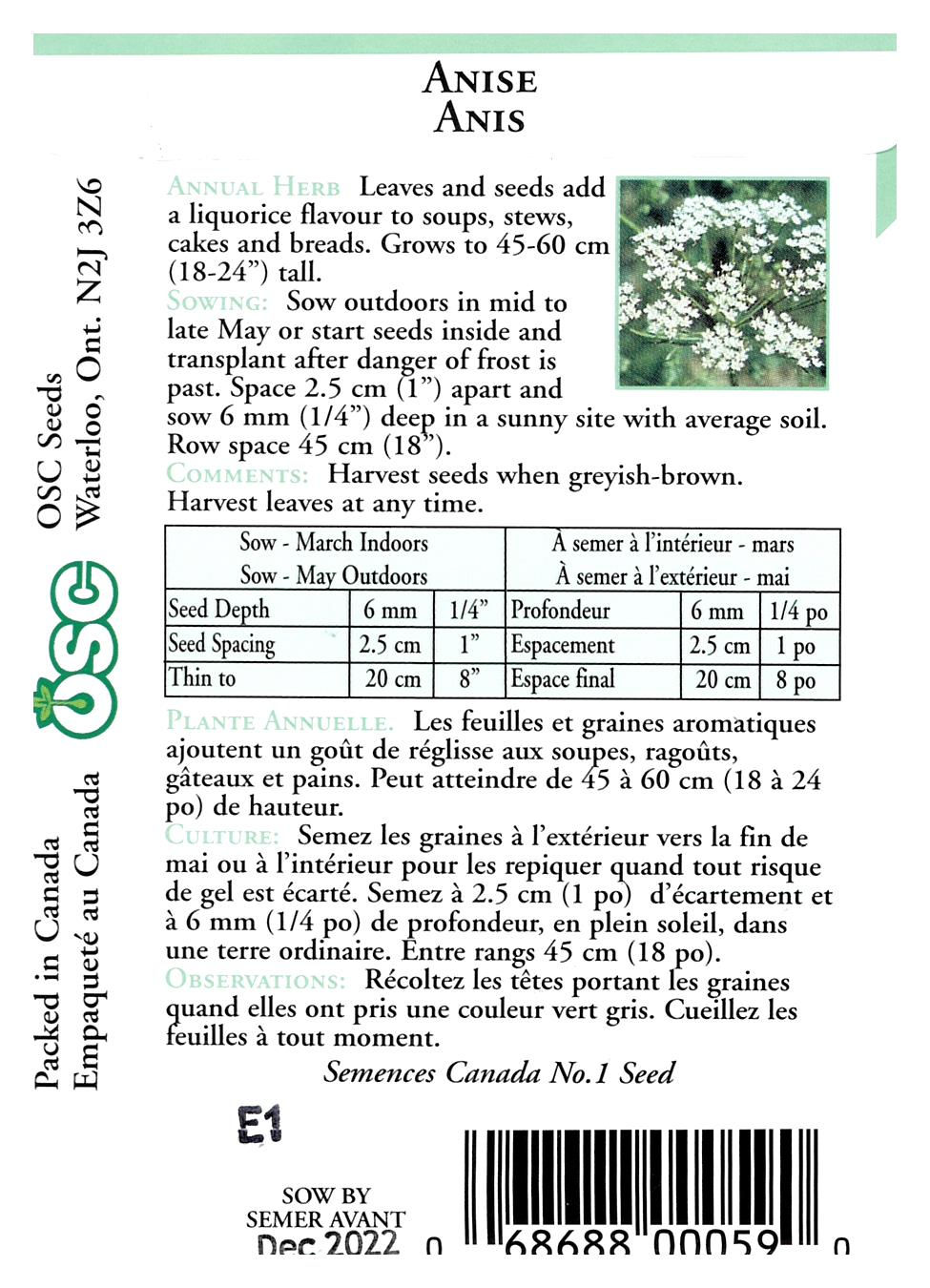 Semences Anis - Jardin des Trouvailles