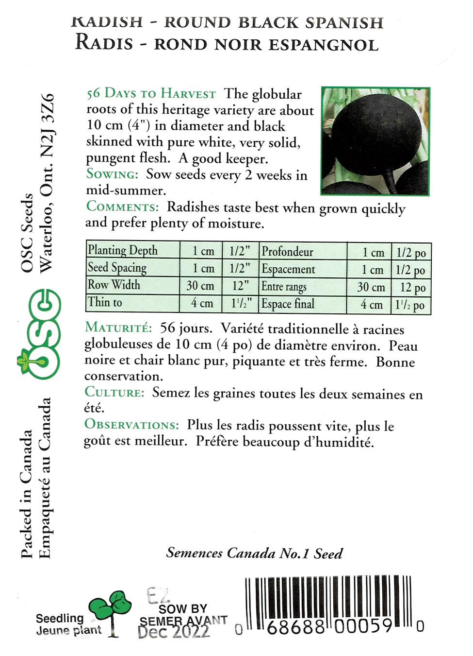 Miniature : Semences Radis rond noir espagnol - Jardin des Trouvailles