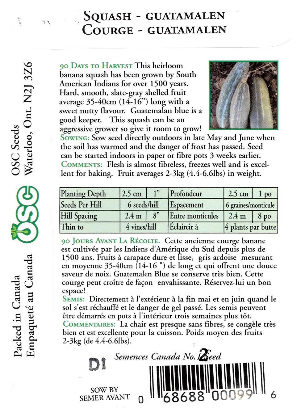 Semences Courge Guatamalen Blue - Jardin des Trouvailles