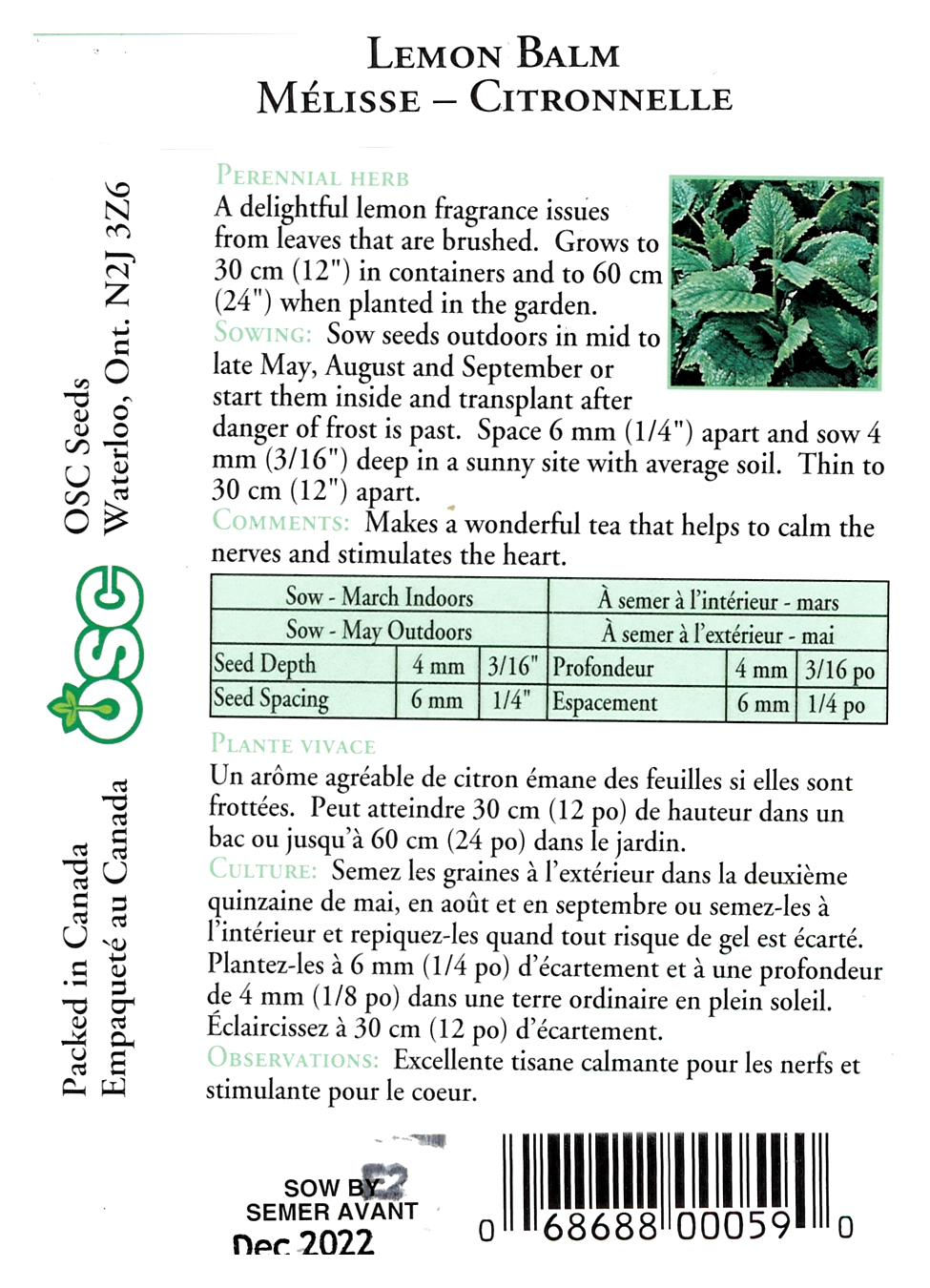 Semences Mélisse - Citronnelle - Jardin des Trouvailles