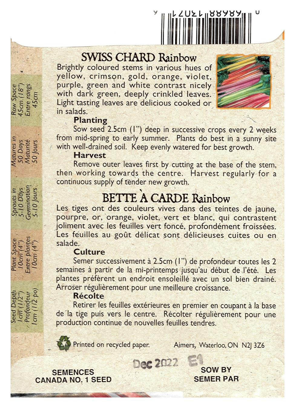 Semences Bette à carde Rainbow - Jardin des Trouvailles