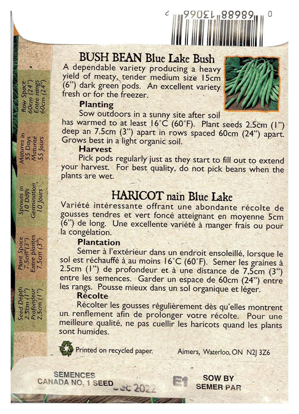 Semences Haricot Blue Lake - Jardin des Trouvailles