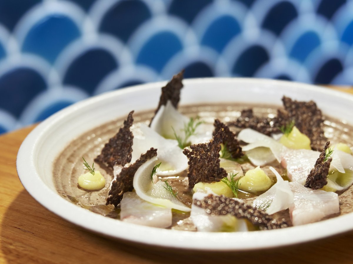 Japanese Fusion Dining in Wollongong: 2026 Coastal Guide