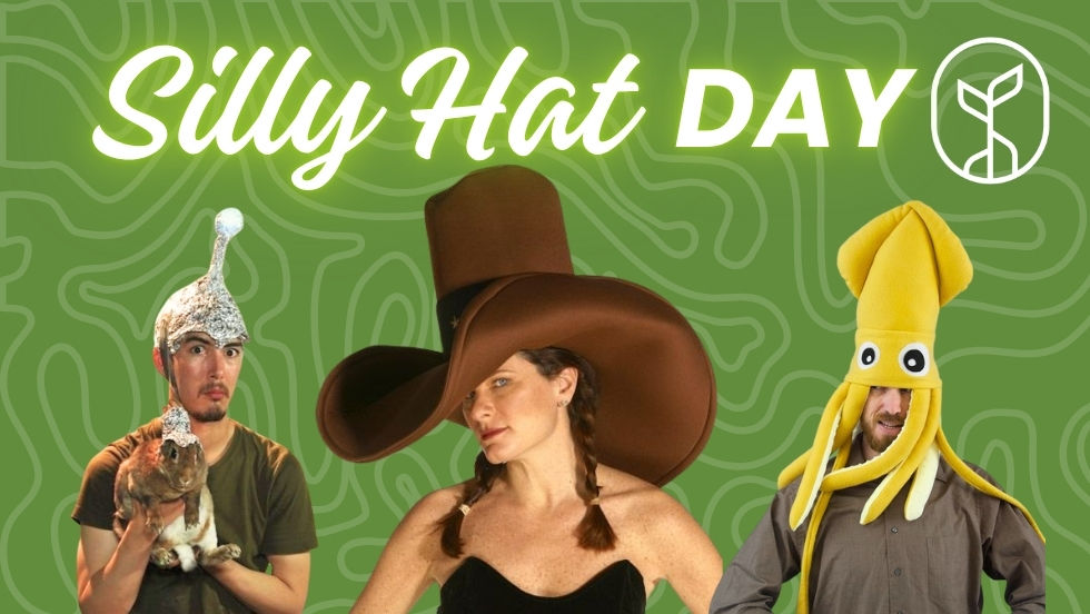 Silly Hat Day @ Loveland Kava