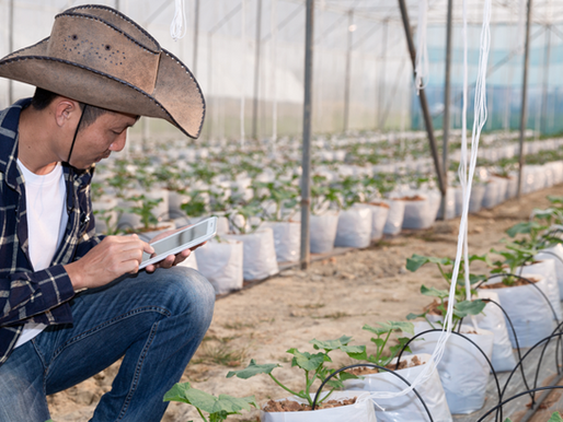 FazendaNota Agora 100% Gratuito e Ilimitado: Simplifique a Emissão de Notas Fiscais Rurais