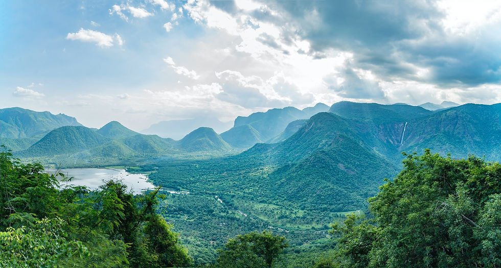 abhishek-prasad-HMg2T-_HBxk-unsplash.jpg
