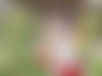 CRYSTALL + STACY - SONOMA WEDDING