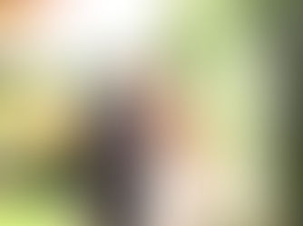 AYLIN + ERIC - VINTNERS INN SONOMA WEDDING