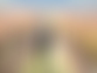 The Ultimate Guide to Planning an Unforgettable Wine Country Elopement