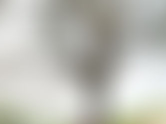 Discover the Magic of Micro Weddings in Napa & Sonoma Wine Country