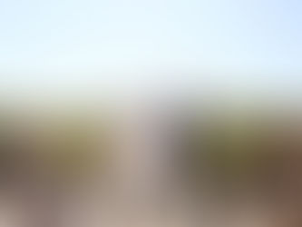 Plan a Sustainable Napa & Sonoma Wine Country Wedding