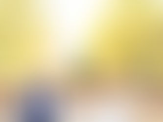 PAM + BOGDAN - SONOMA ELOPEMENT