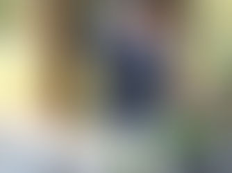 KEVIN + BRIAN - HAVEST INN NAPA ELOPEMENT