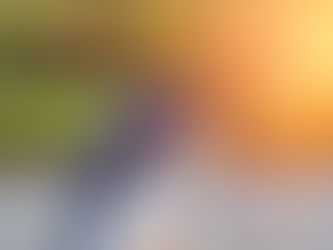 CAITLIN + CHRISTOPHER - SONOMA WEDDING