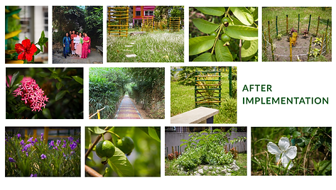 Urban Forest (After) - Earth Restore .png