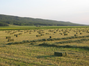 Wind and Water Farm
