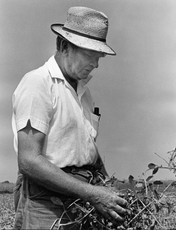Clarence Jordan