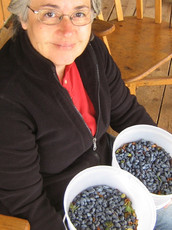 Fruit