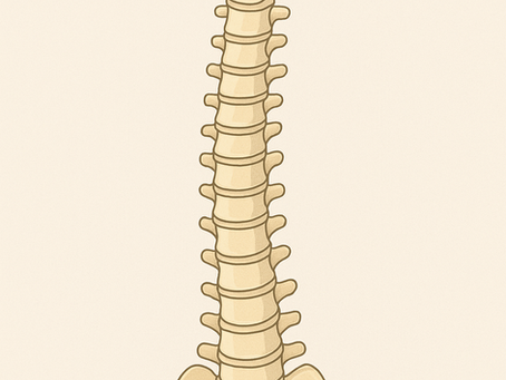 Understanding Back-Related Leg Pain: More Than Just Sciatica