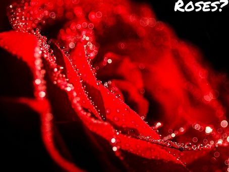 Did You Forget About The Roses?