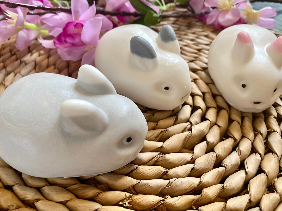 Miniatura: conejo de jabon