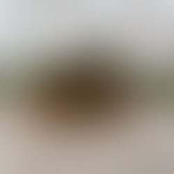 ¿CÓMO ES EL JABÓN DE TÉ VERDE Y MENTA?