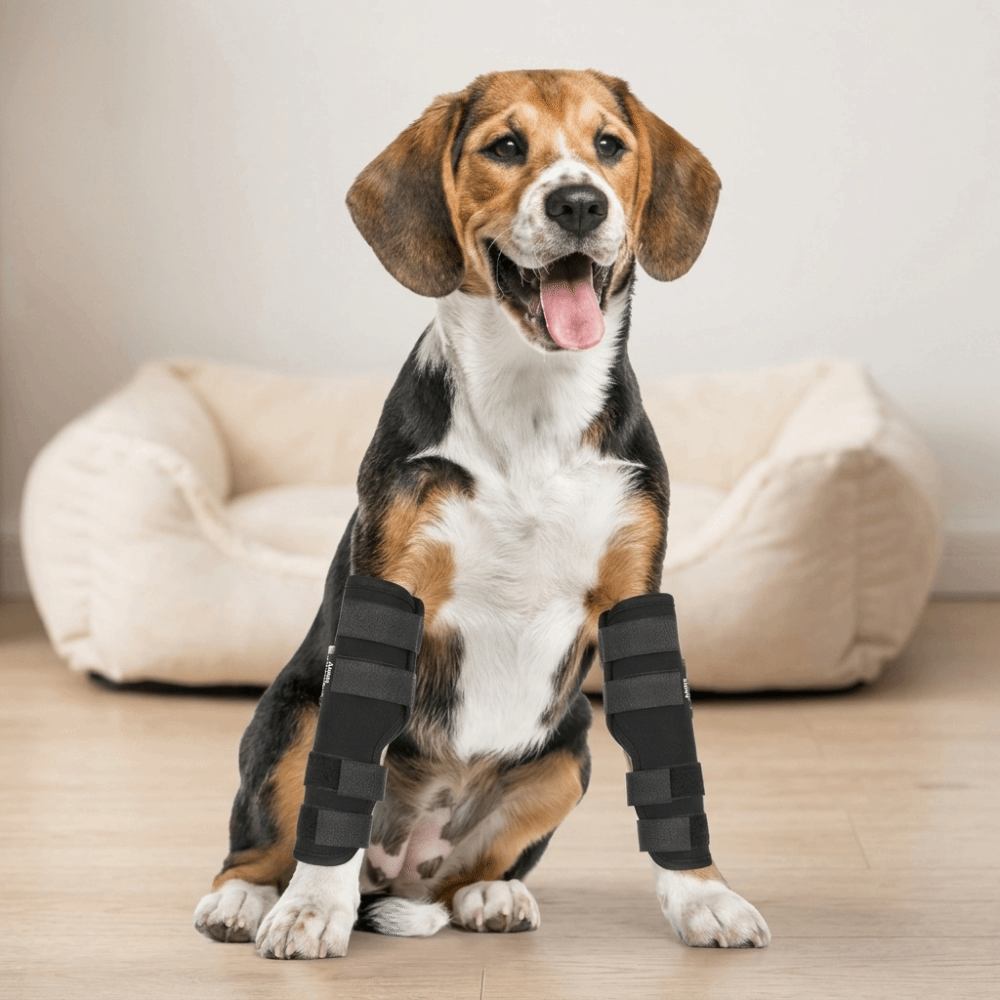 1 Pair Adjustable Strap Pet Leg Brace Flexible Fabric Pair Packed Dog Elbow Prot