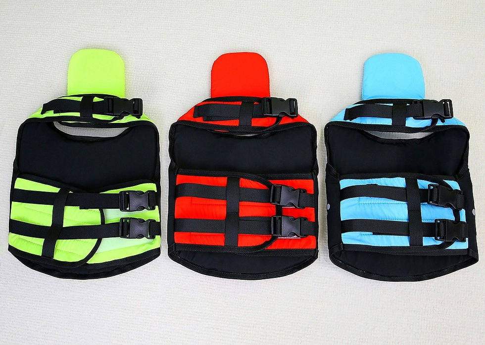 Thumbnail: The SplashGuard Dog Life Jacket
