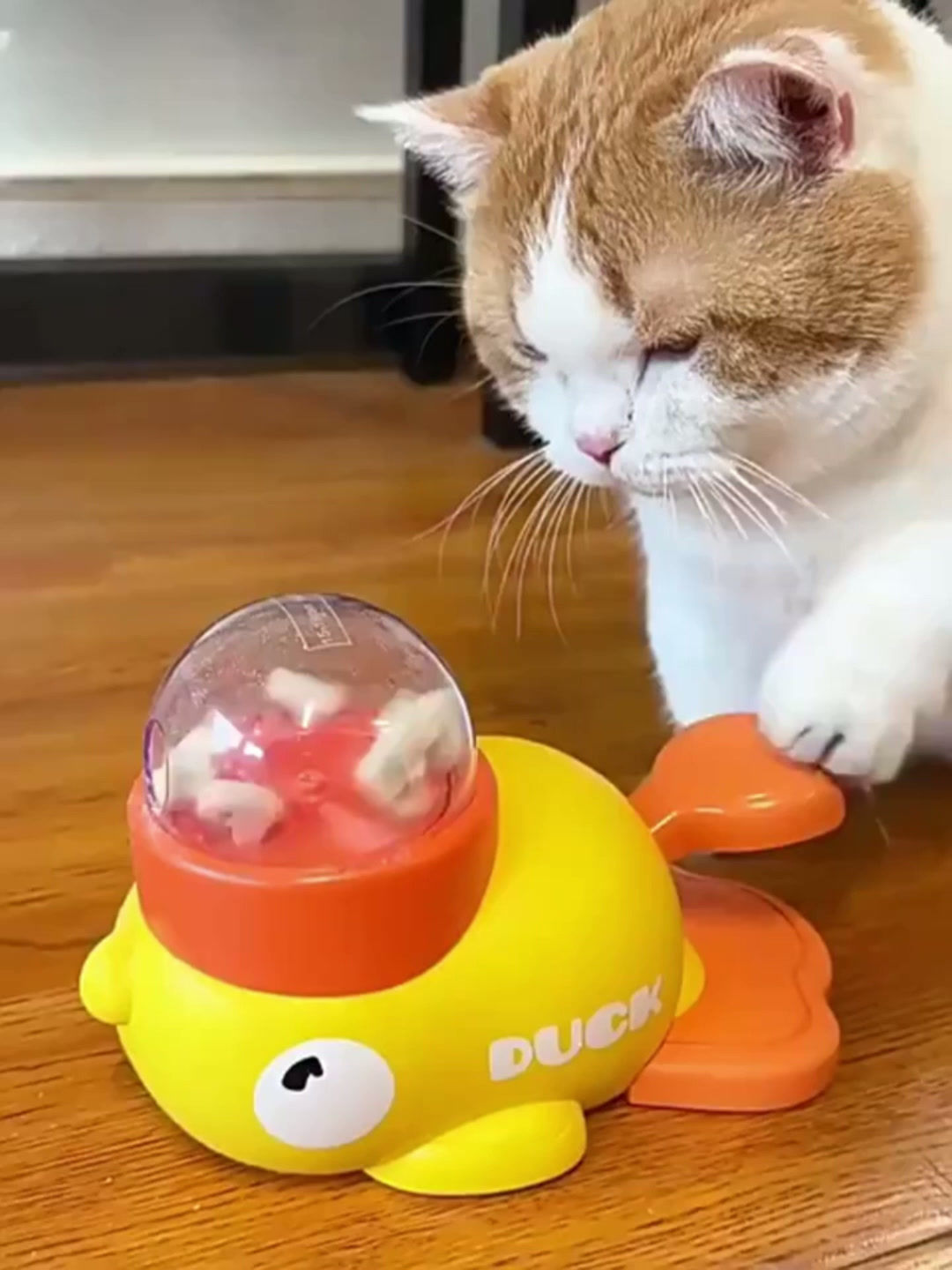 Duckling Roll Interactive Treat Toy