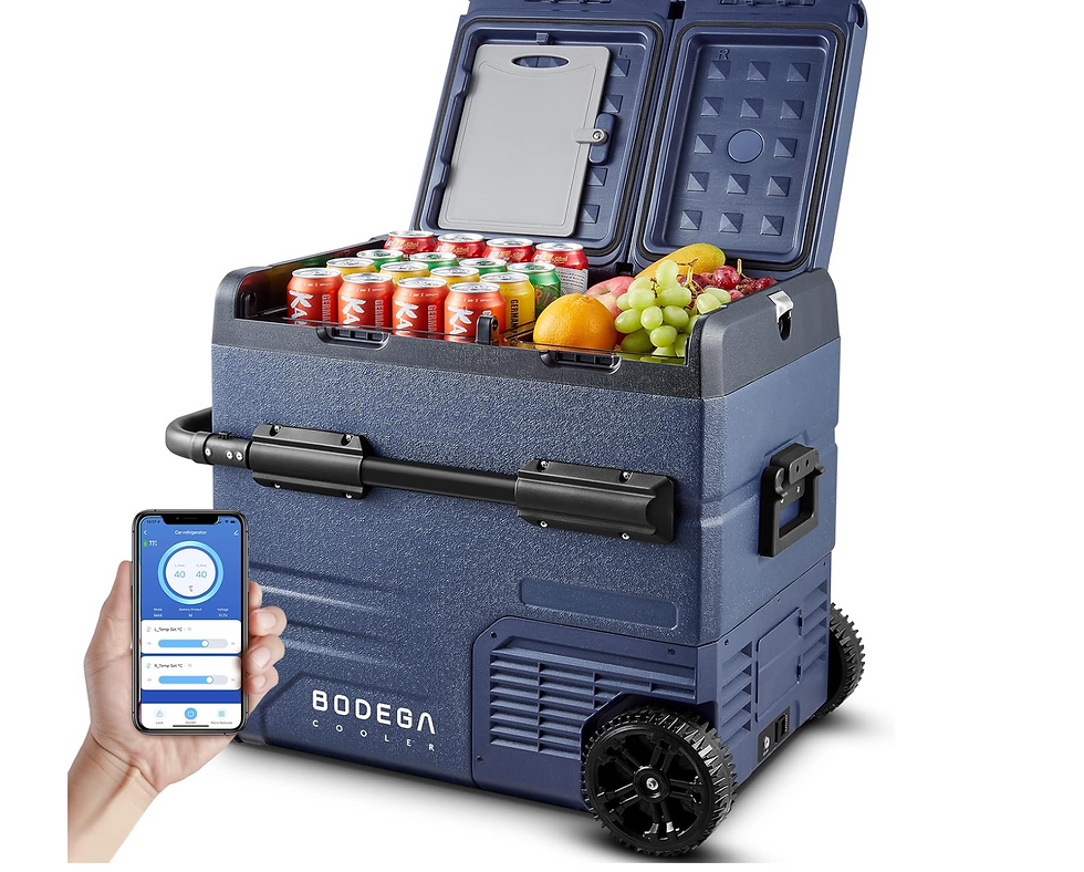 Car Refrigerator