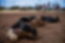 drbaseballgloves-2560.jpg