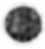 ElClubhouse White Circle-2.PNG