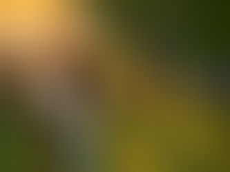 "Song of the Week" - April 2022 - Week One