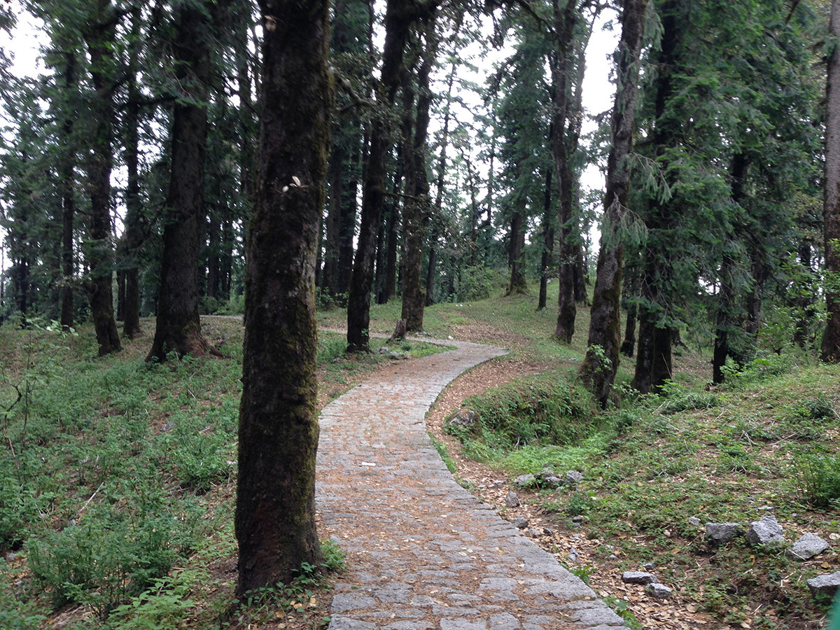 Jyuni Valley with Kamrunag Trek