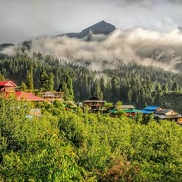 Dense forests, peace and quiet, nature trails, bird watching