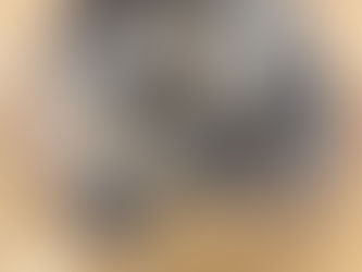 Chewy Fudgey Protein Slice