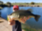 jolie black bass peche en Espagne extramadure