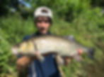 peche chevesne aux appats