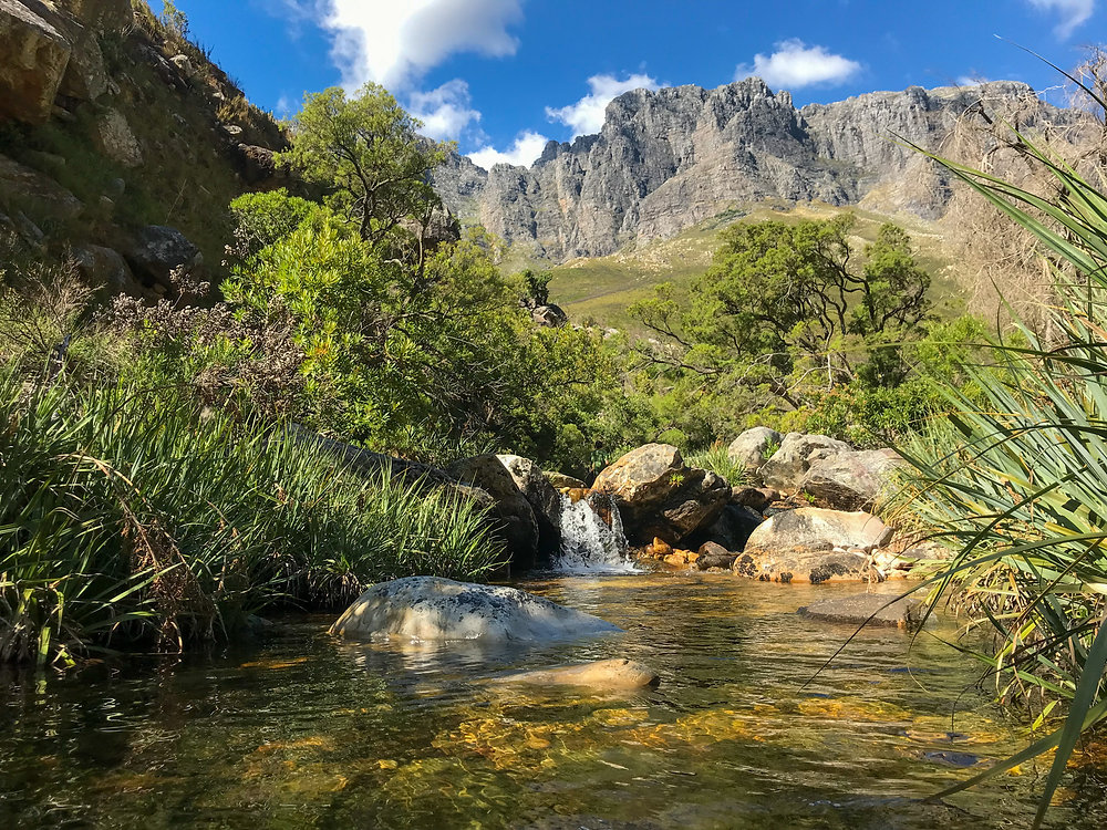 Jonkerschoeck river, a pure gem for fly fishing near Stellenbosch