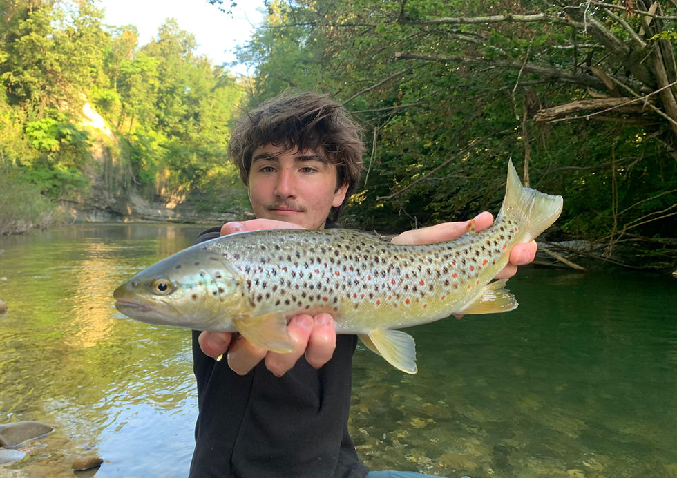 La pêche sportive sur le Chéran: un parcours de classe Mondiale pour la truite en Haute-Savoie !