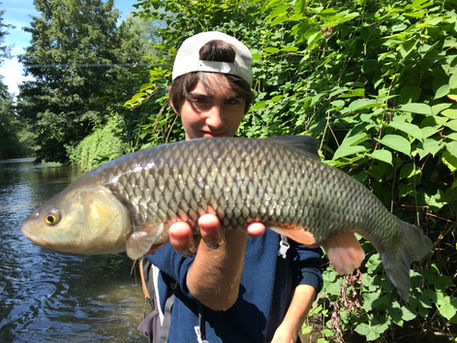 Astuces pour pêcher de gros chevesnes à vue…et sans leurre ! Ma technique hyper ludique et efficace.