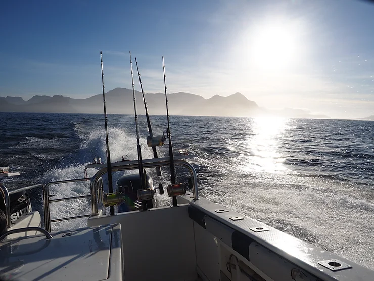 Pyasage en mer cape town afrque du sud