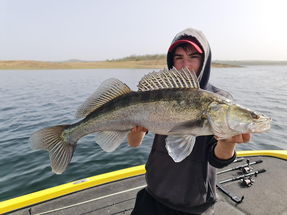 Peche sandre sandre espagne