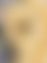 Rating Different Quesos