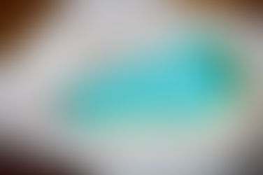 Thanksgiving Must Have