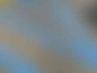 A Word from the Adoption Center