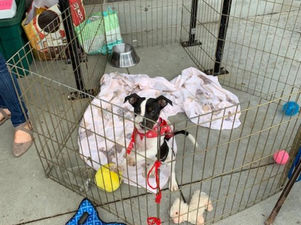 Huge Thanks to Kroger Hendersonville